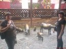 Світлана Юрчак фотография #35 (источник - https://vk.com/id157078201)