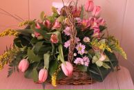 Фотография Спегальской Елены