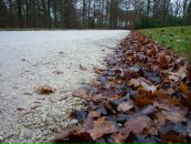 Сергій Сачок фотография #17 (источник - https://vk.com/id6720686)