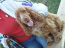 Фотография Борской Натальи