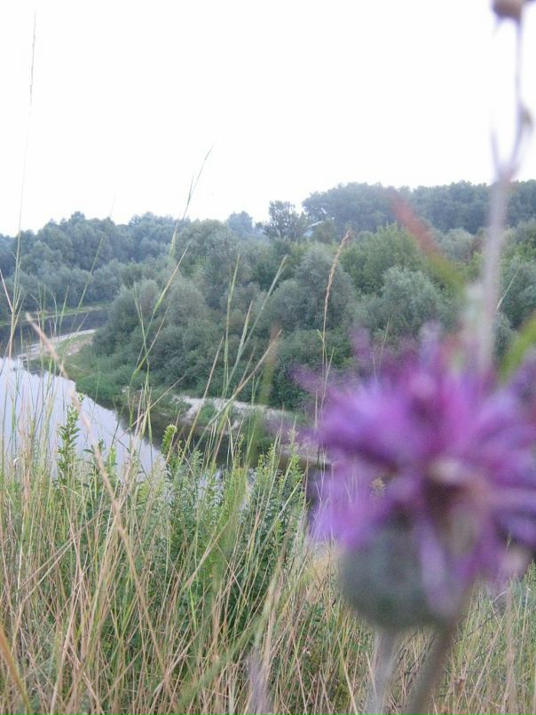 Мари Иванок фотография #21