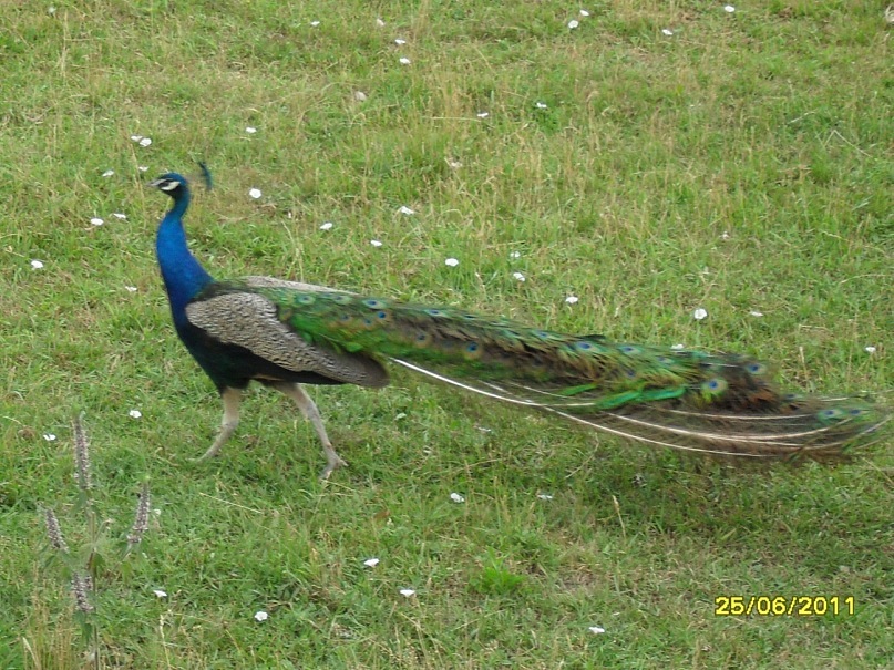 Андрей Поляков фотография #39