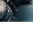 Руслан Сільник фотография #47 (источник - https://vk.com/id141039658)