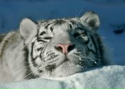 Сергей Κудряшов фотография #1