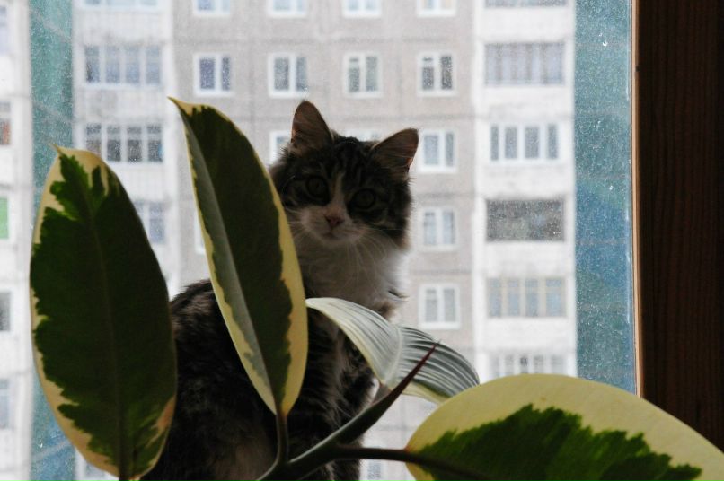 Антон Салянский фотография #49