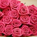 Ваня Сопіжко фотография #14 (источник - https://vk.com/id11676509)