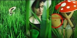 Анна Плотникова фотография #49 (источник - https://vk.com/id4456324)