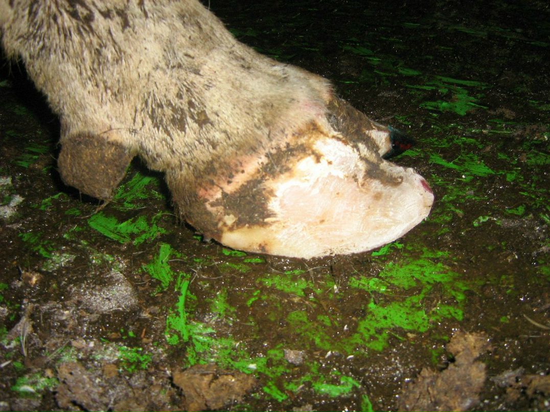 Иван Плотников фотография #39