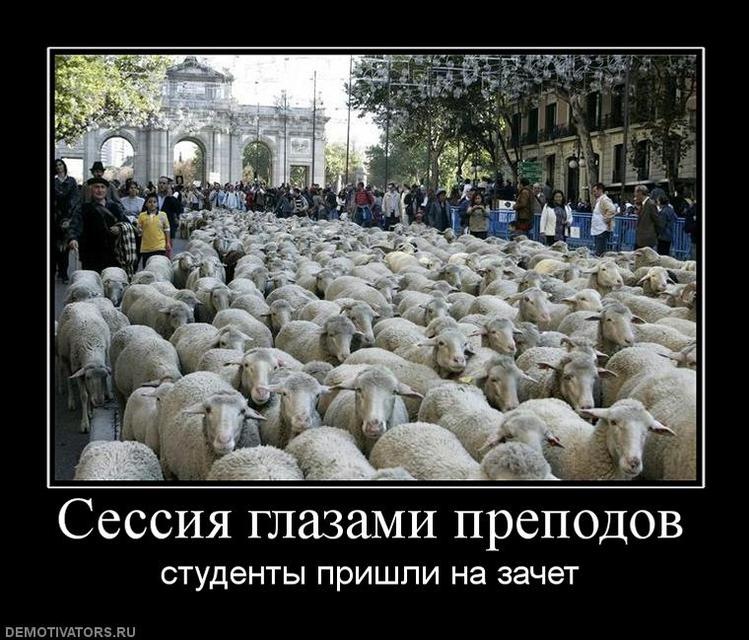 Софья Терпугова фотография #33