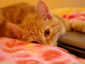 Фотография Черниховской Юлии