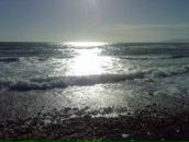 Петро Палій фотография #11 (источник - https://vk.com/id15455424)