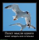 Анастасія Шевчук фотография #48 (источник - https://vk.com/id8784139)