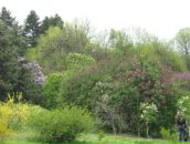 Юлія Парфеса фотография #11 (источник - https://vk.com/id6576639)