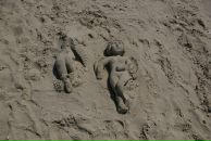 Дмитрий Гарынкин фотография #50 (источник - https://vk.com/id4169848)