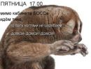 Лєна Ткачук фотография #44 (источник - https://vk.com/id165103669)