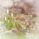 Сергей Пото фотография #30 (источник - https://vk.com/id3081030)