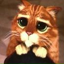 Фотография Антоновой Марии