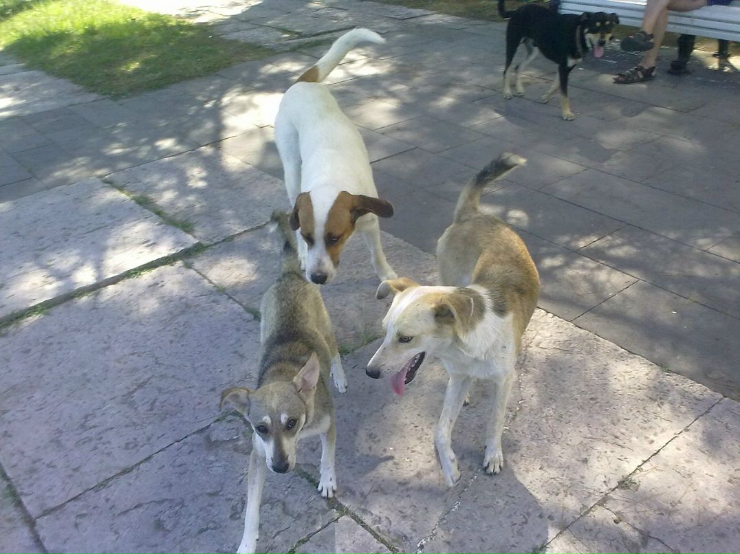 Igor Igor фотография #14