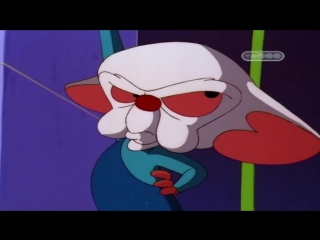 Пинки и Брейн (3 Сезон 23 Серия)