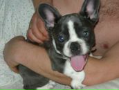 Фотография Масловой Олеси