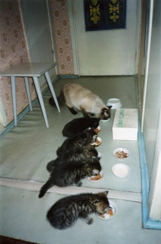  фото №25