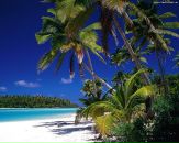 Роман Паньківський фотография #43 (источник - https://vk.com/id64889957)