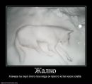 Іванна Мельничук фотография #21 (источник - https://vk.com/id12898392)