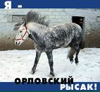 Фотография Табратовой Саши