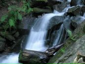 Серж Францішек фотография #28 (источник - https://vk.com/id5663379)