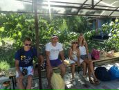 Віта Гельбич фотография #27 (источник - https://vk.com/id66074746)