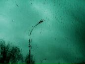 Фотография Шаммурамат Катерина