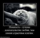 ®®® Butirata ®®® фотография #15 (источник - https://vk.com/id78739519)