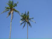 Фотография Кенига Сергея Владимировича