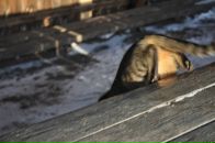 Фотография Шестовой Ольги