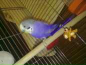 Фотография Нуритдиновой Татьяны