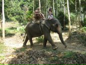 Фотография Олейниковой Катарины