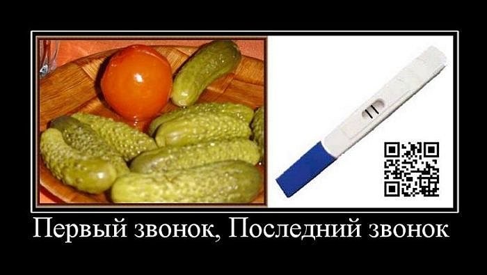 Сергей Комаров фотография #31
