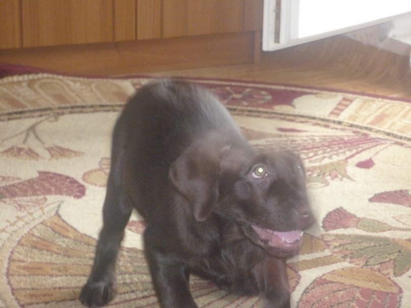 Кирилл Озолин фотография #48