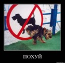 Андрій Гойнацький фотография #33 (источник - https://vk.com/id18357030)