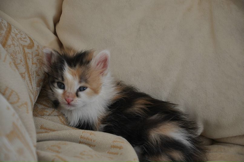 Марк Макаров фотография #22