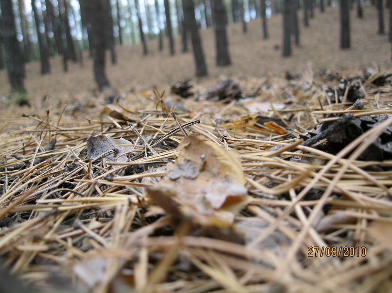 Илья Хатаб фотография #47