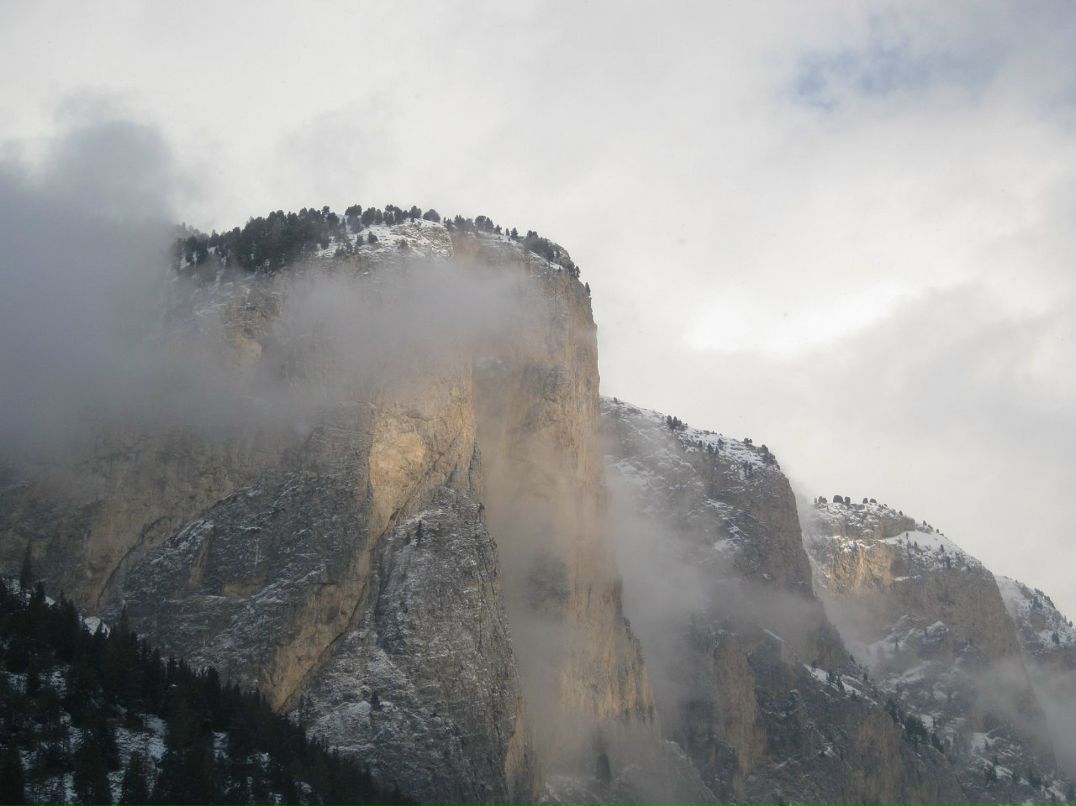 Григорий Поляков фотография #27