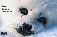 Фотография Позняк Евгении