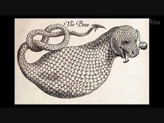 7 МИФИЧЕСКИХ ЗВЕРЕЙ КОТОРЫЕ СУЩЕСТВОВАЛИ НА САМОМ ДЕЛЕ.