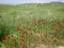Фотография Подхватилина Александра