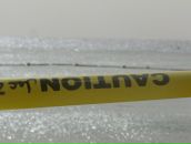 Фотография Zavadskiy Denis