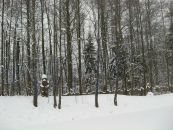 Софія Гапонюк фотография #6 (источник - https://vk.com/id28712059)