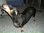 Фотография Туголуковой Галины