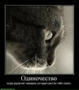 Просто Рамиска=) фотография #26 (источник - https://vk.com/id155554219)