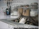 Стас Тимофеев фотография #48 (источник - https://vk.com/id3975274)